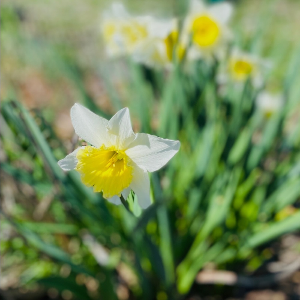 Meet your Posher, Eliza